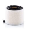Filtro de aire MANN FILTER - C 17 010