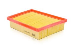 Filtro de aire MANN FILTER - C 17 021/3