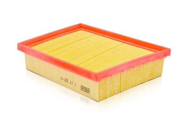 Filtro de aire MANN FILTER - C 17 021/3